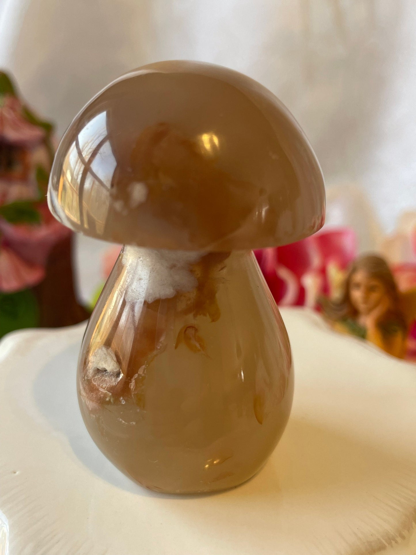 Beautiful Flower agate mushroom
