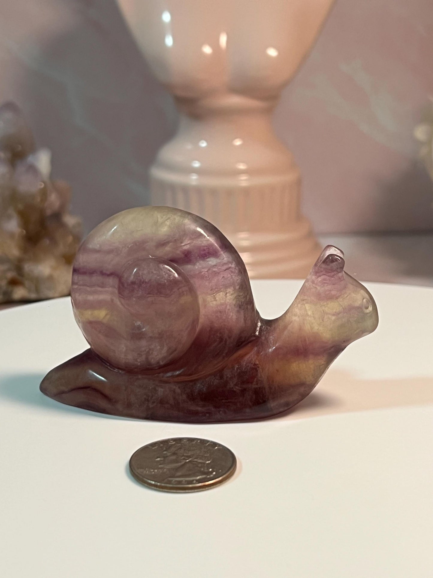 Beautiful Fluorite Snail