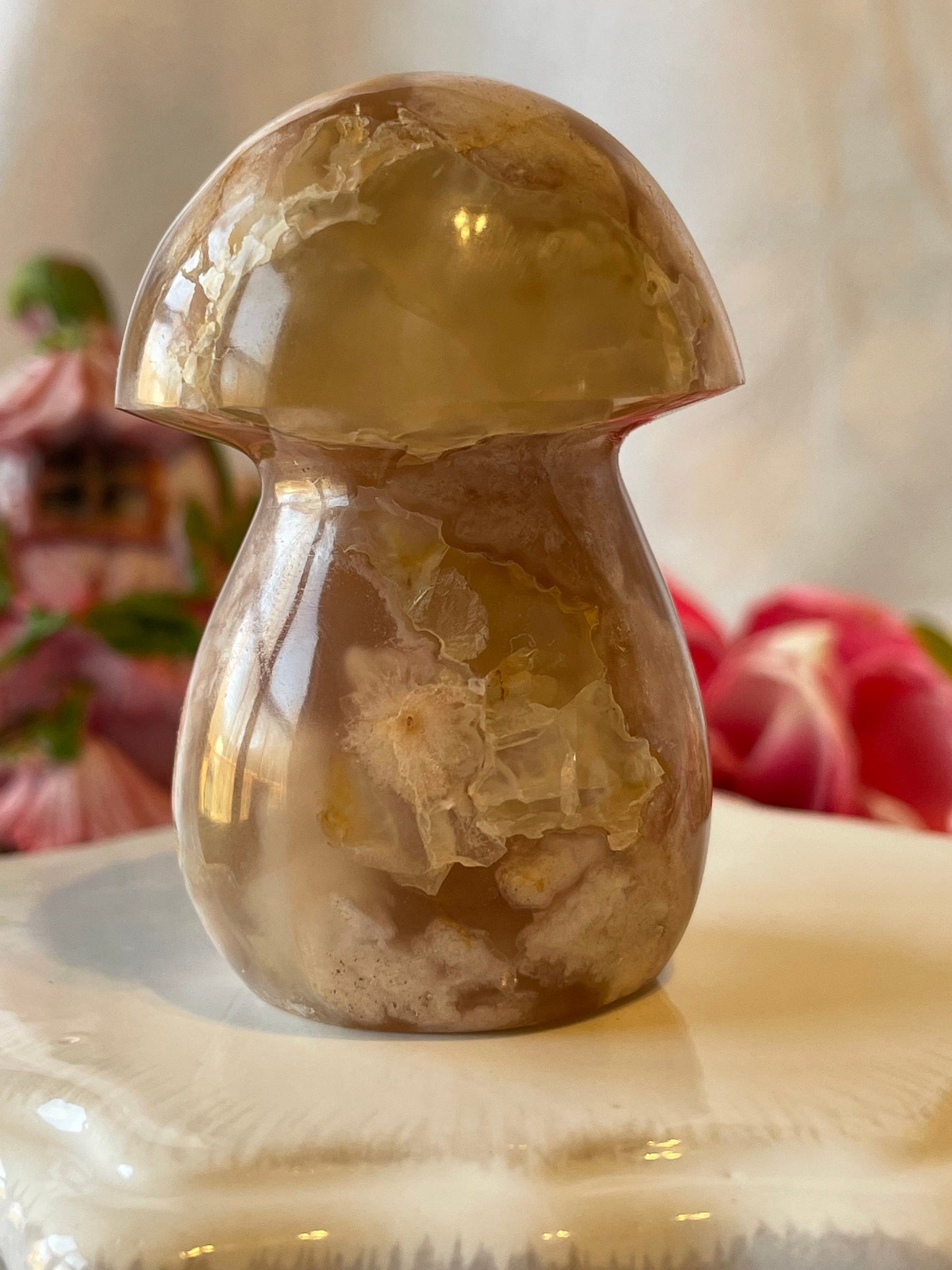 Beautiful Flower agate mushroom