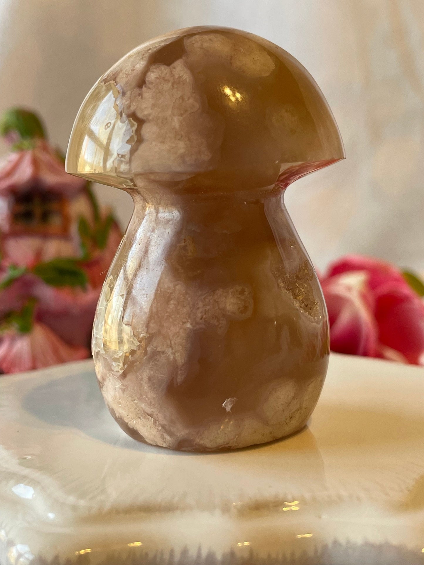 Beautiful Flower agate mushroom