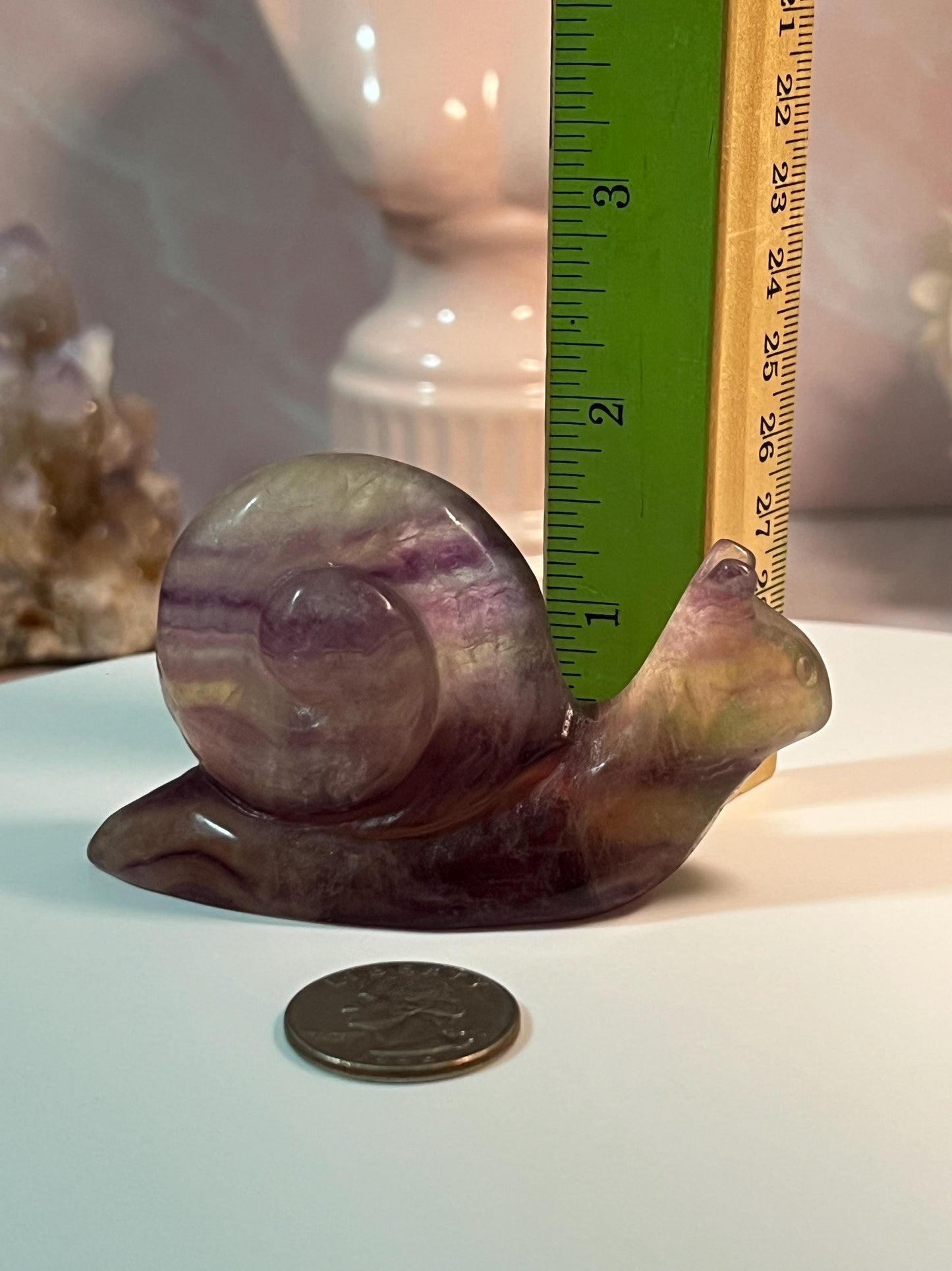 Beautiful Fluorite Snail
