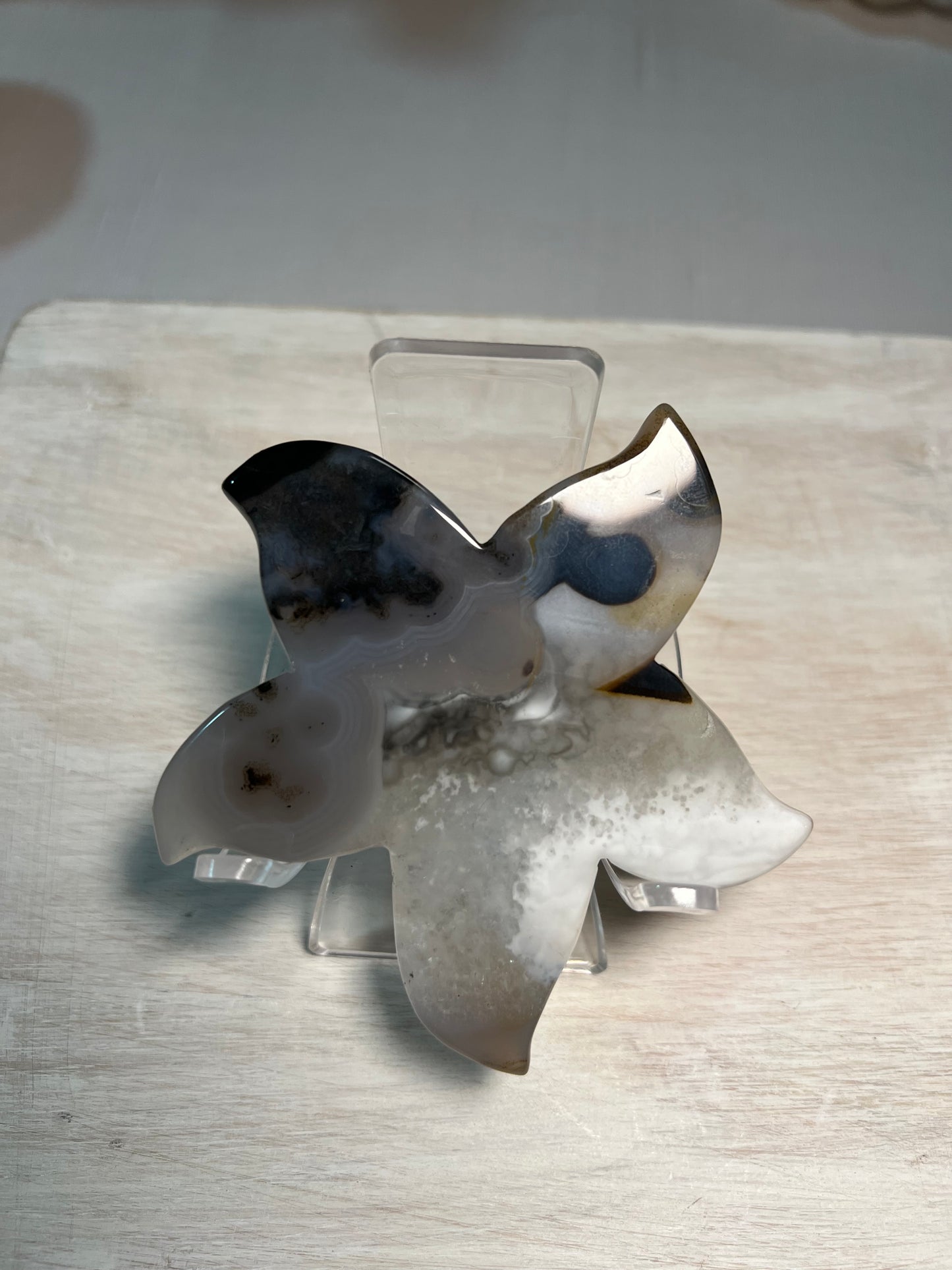 Stunning Druzy Agate Starfish