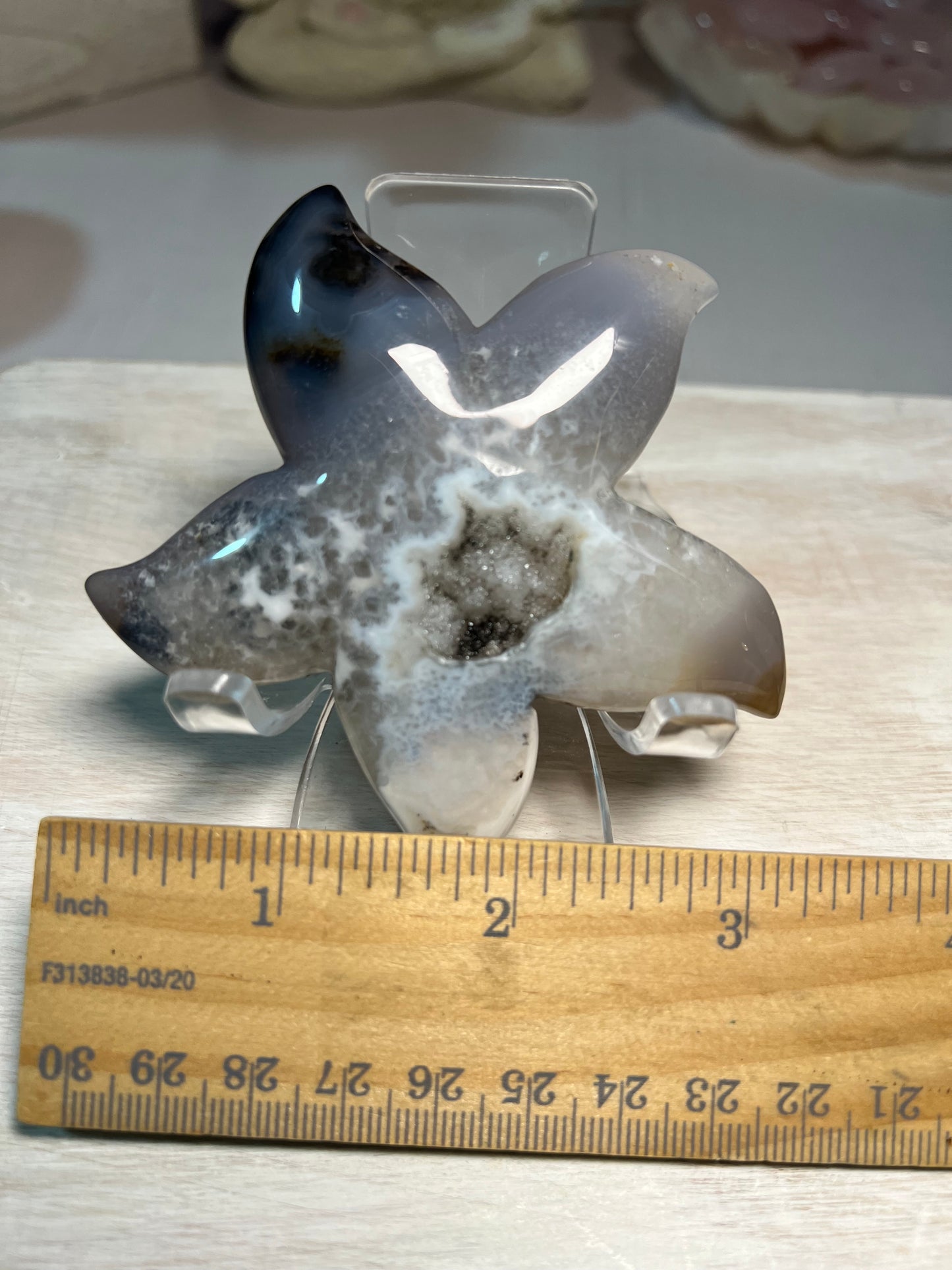 Stunning Druzy Agate Starfish