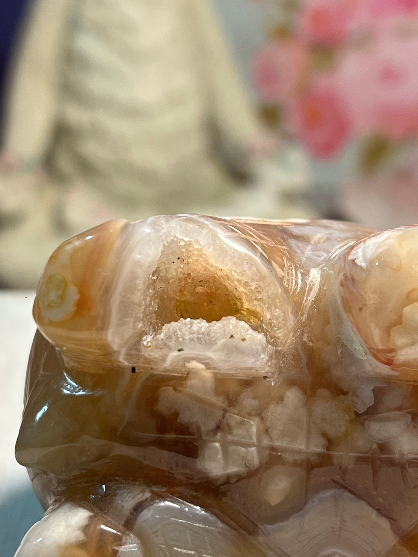 Adorable Flower Agate Turtle Carving