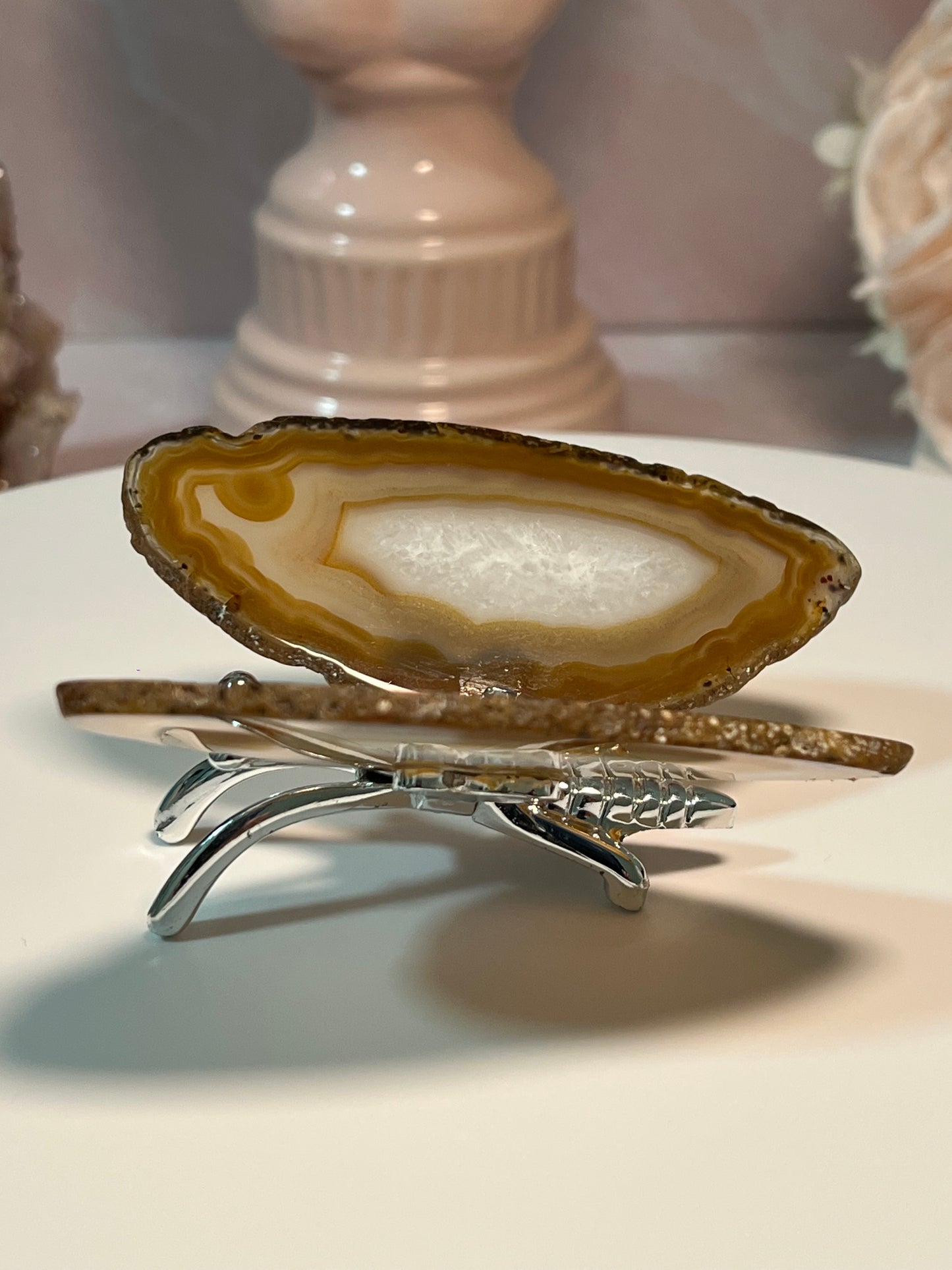 Beautiful Agate butterfly from Brazil