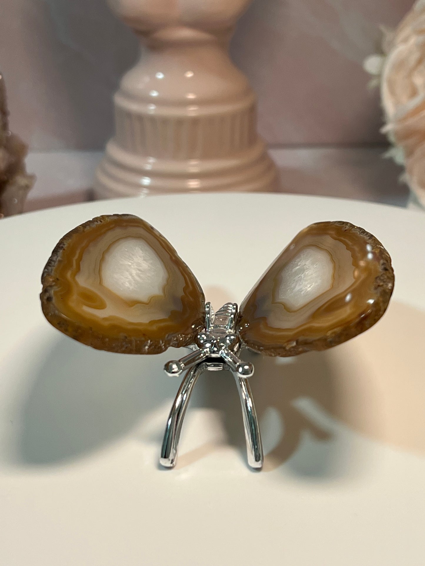 Beautiful Agate butterfly from Brazil
