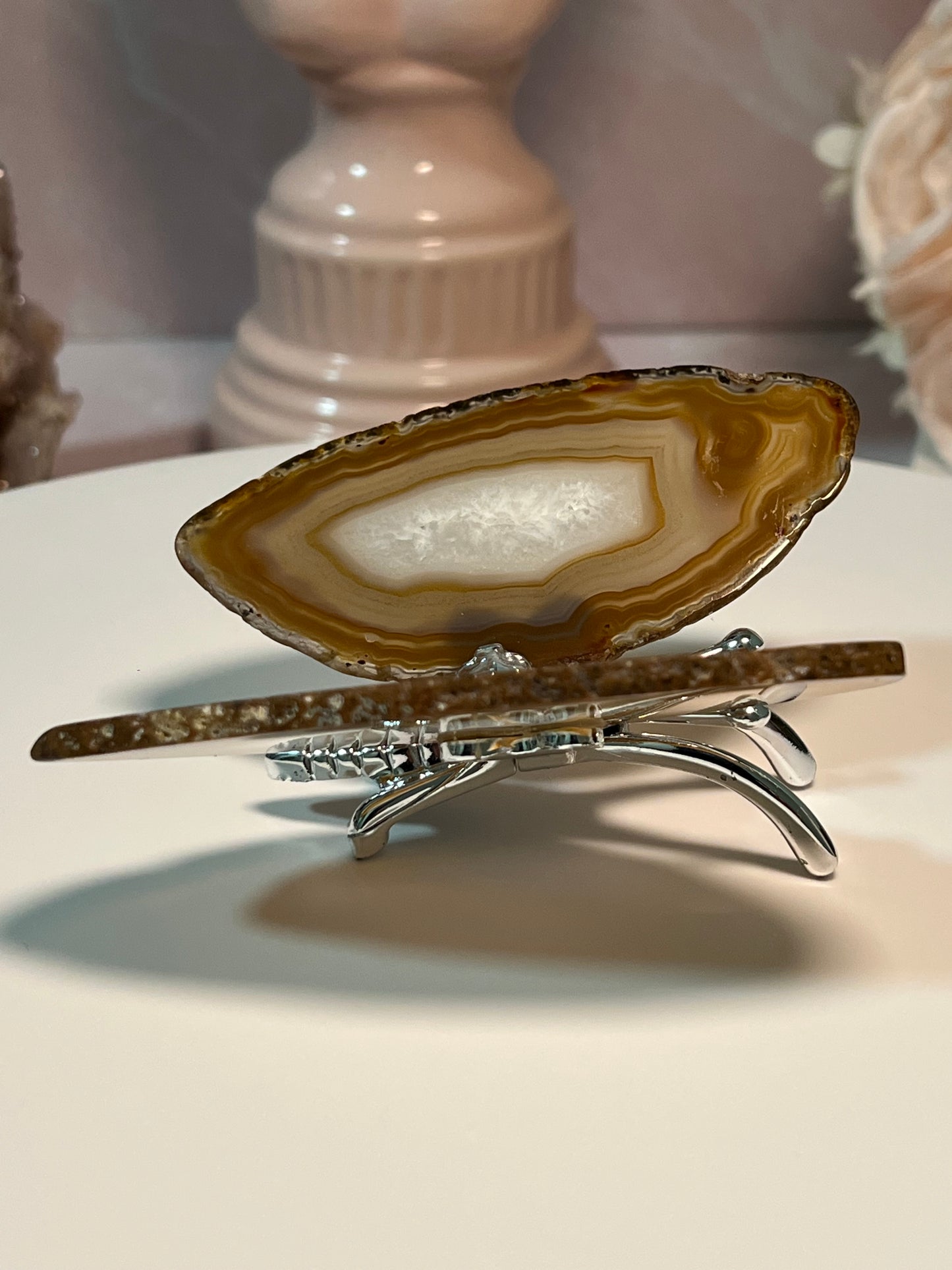 Beautiful Agate butterfly from Brazil