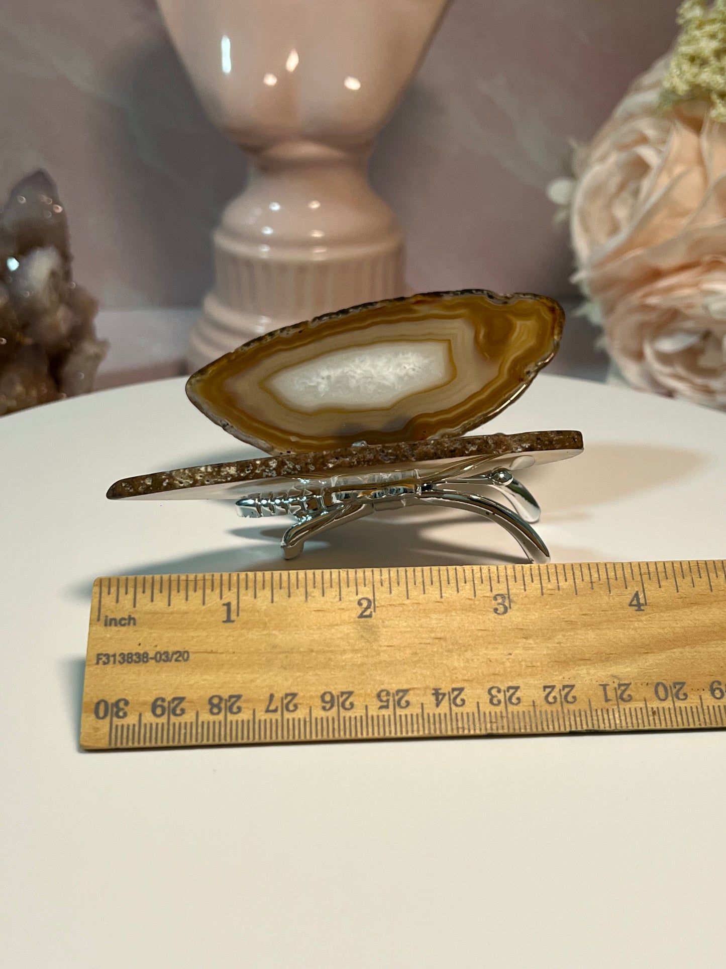 Beautiful Agate butterfly from Brazil