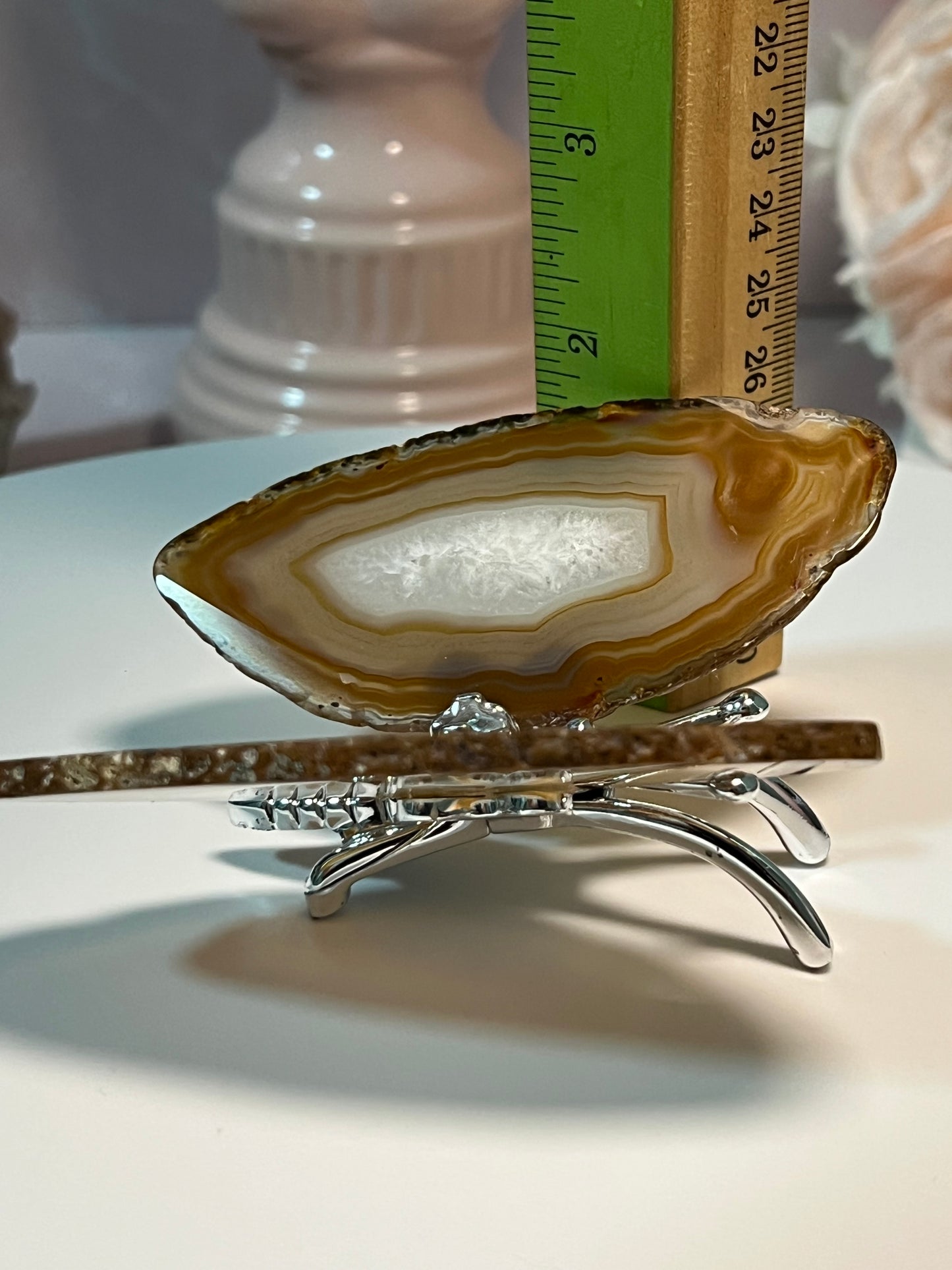 Beautiful Agate butterfly from Brazil