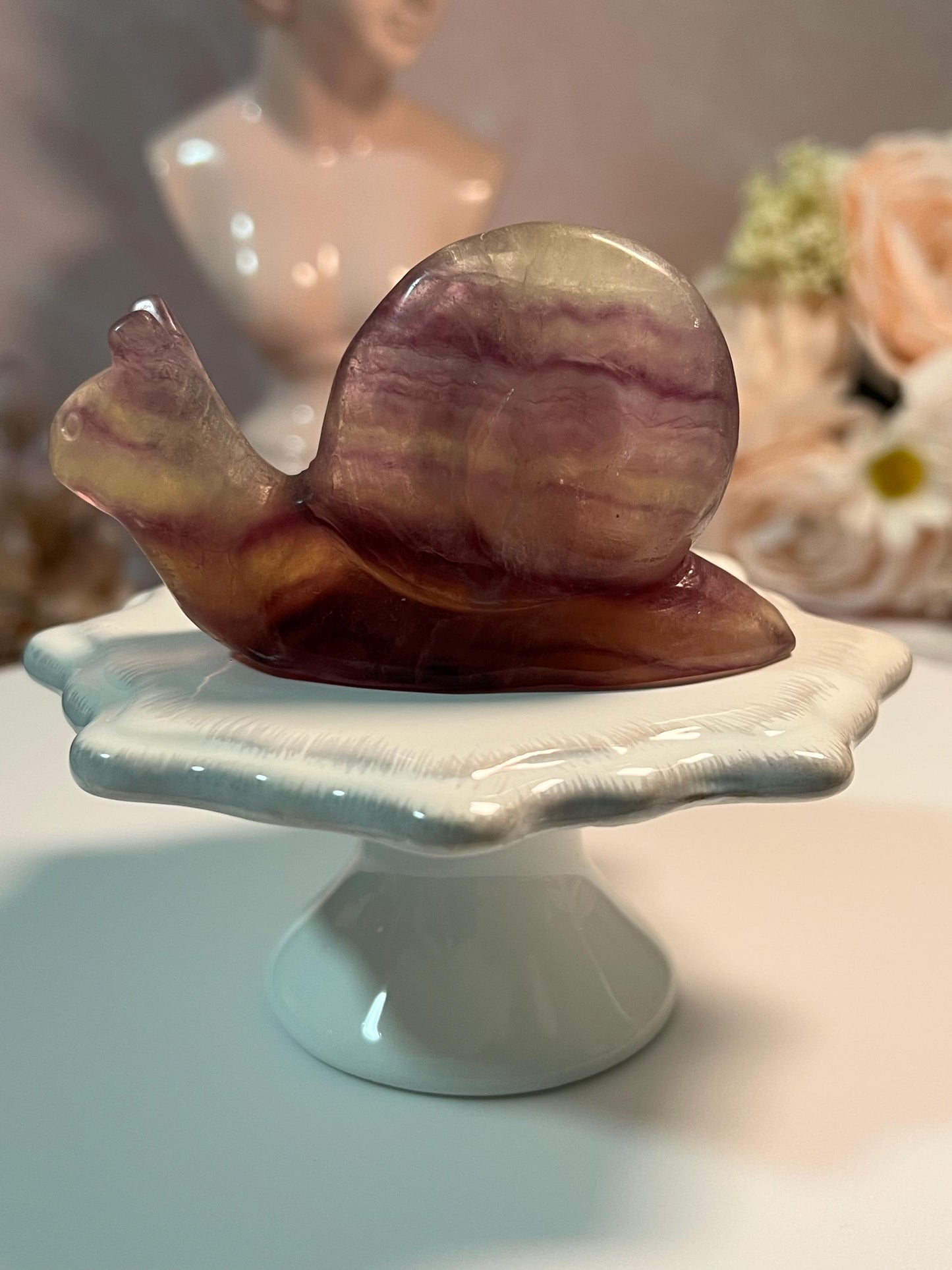 Beautiful Fluorite Snail