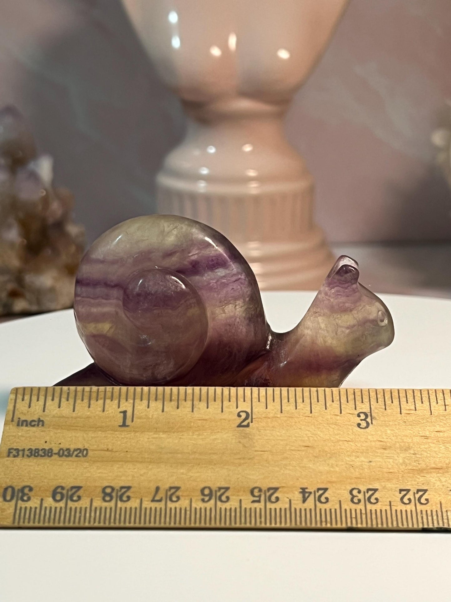 Beautiful Fluorite Snail