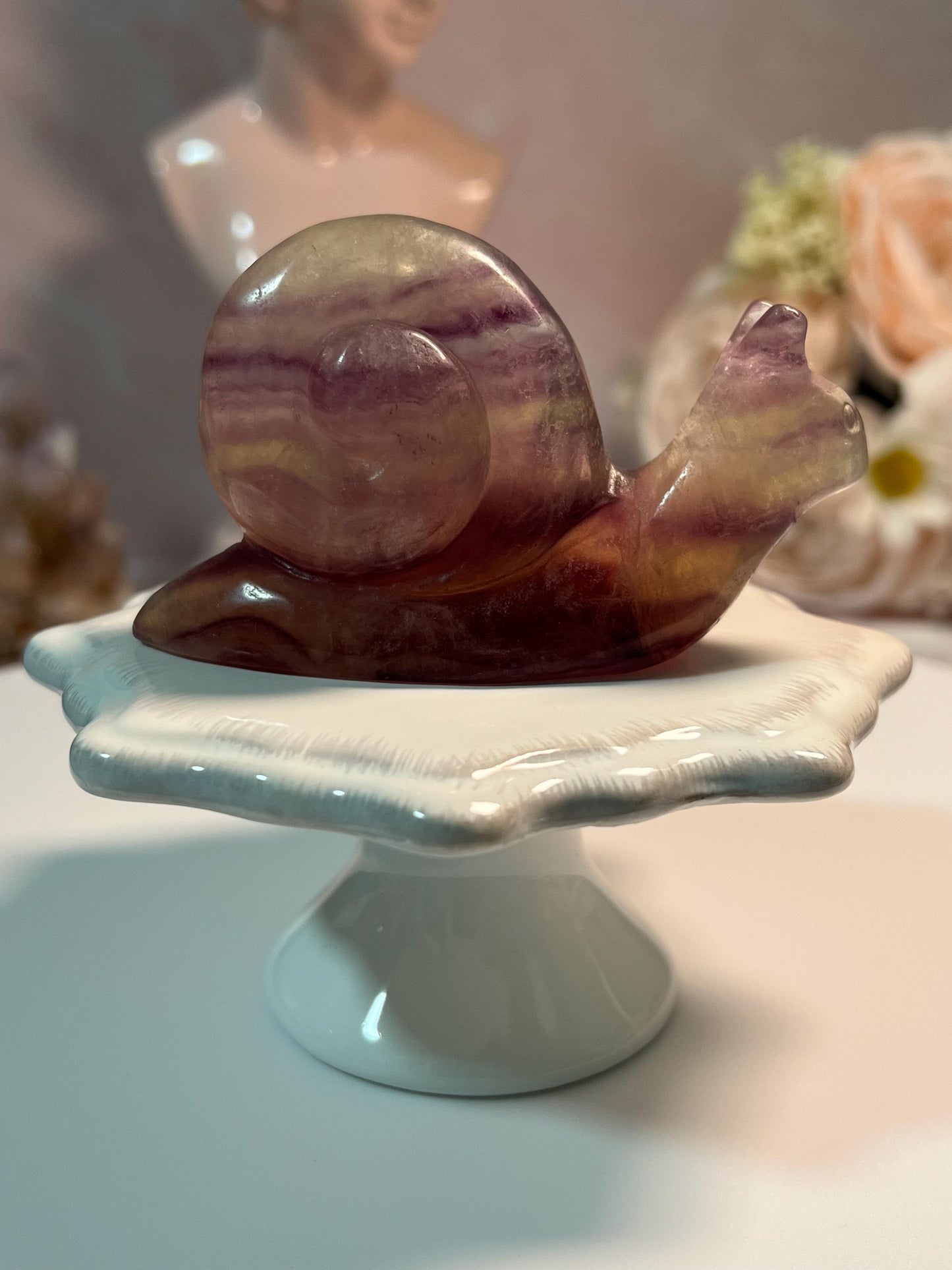 Beautiful Fluorite Snail