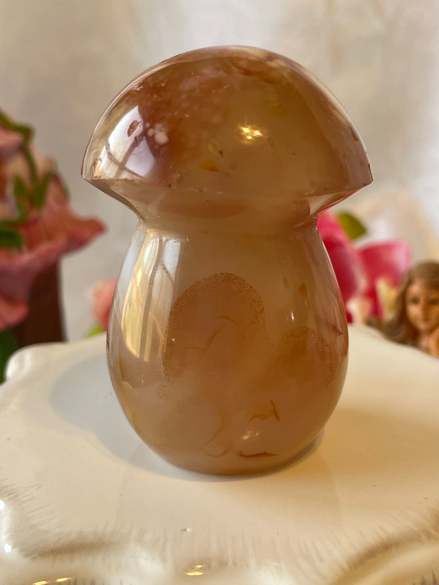 Beautiful Flower agate mushroom