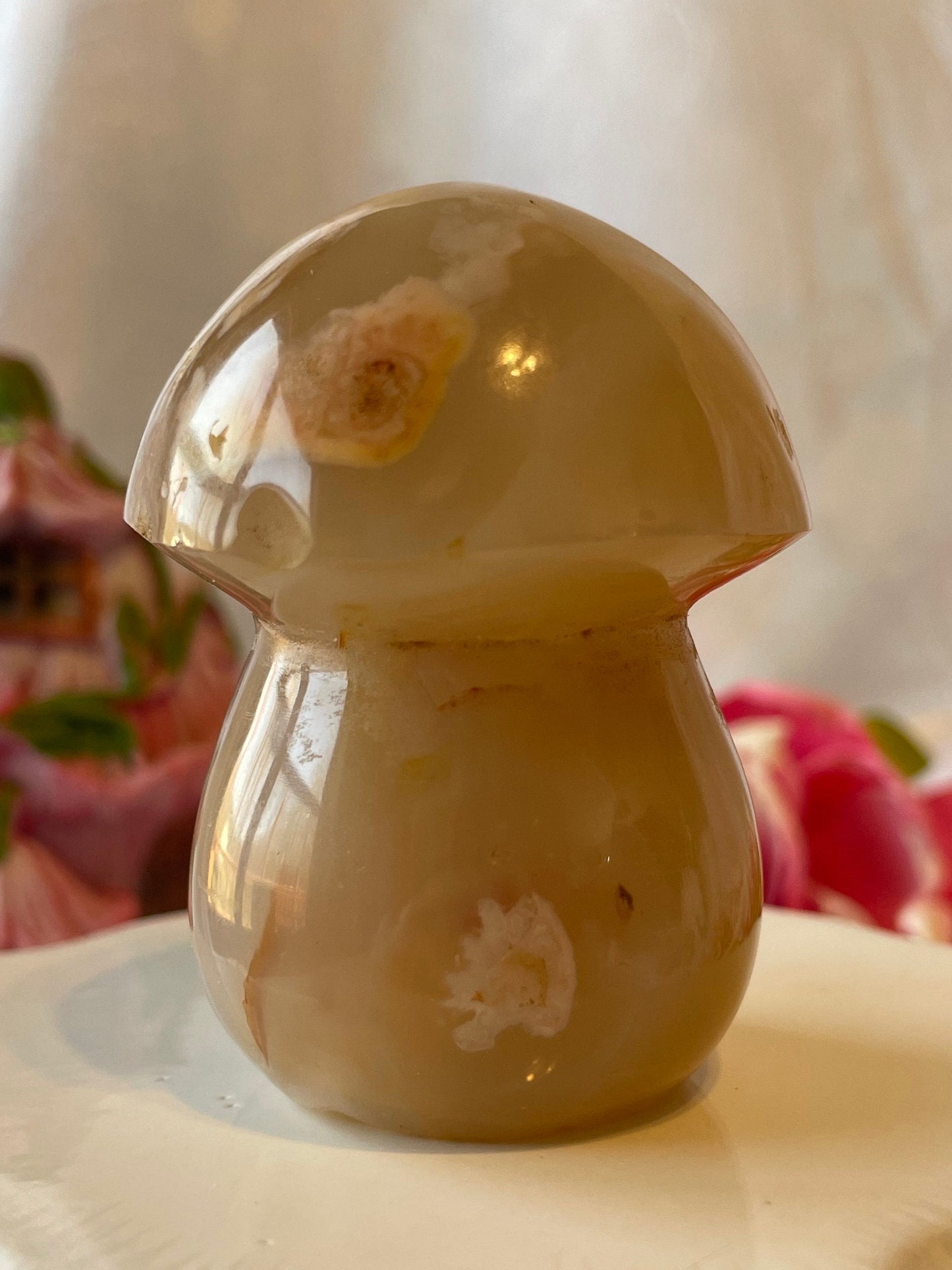 Beautiful Flower agate mushroom