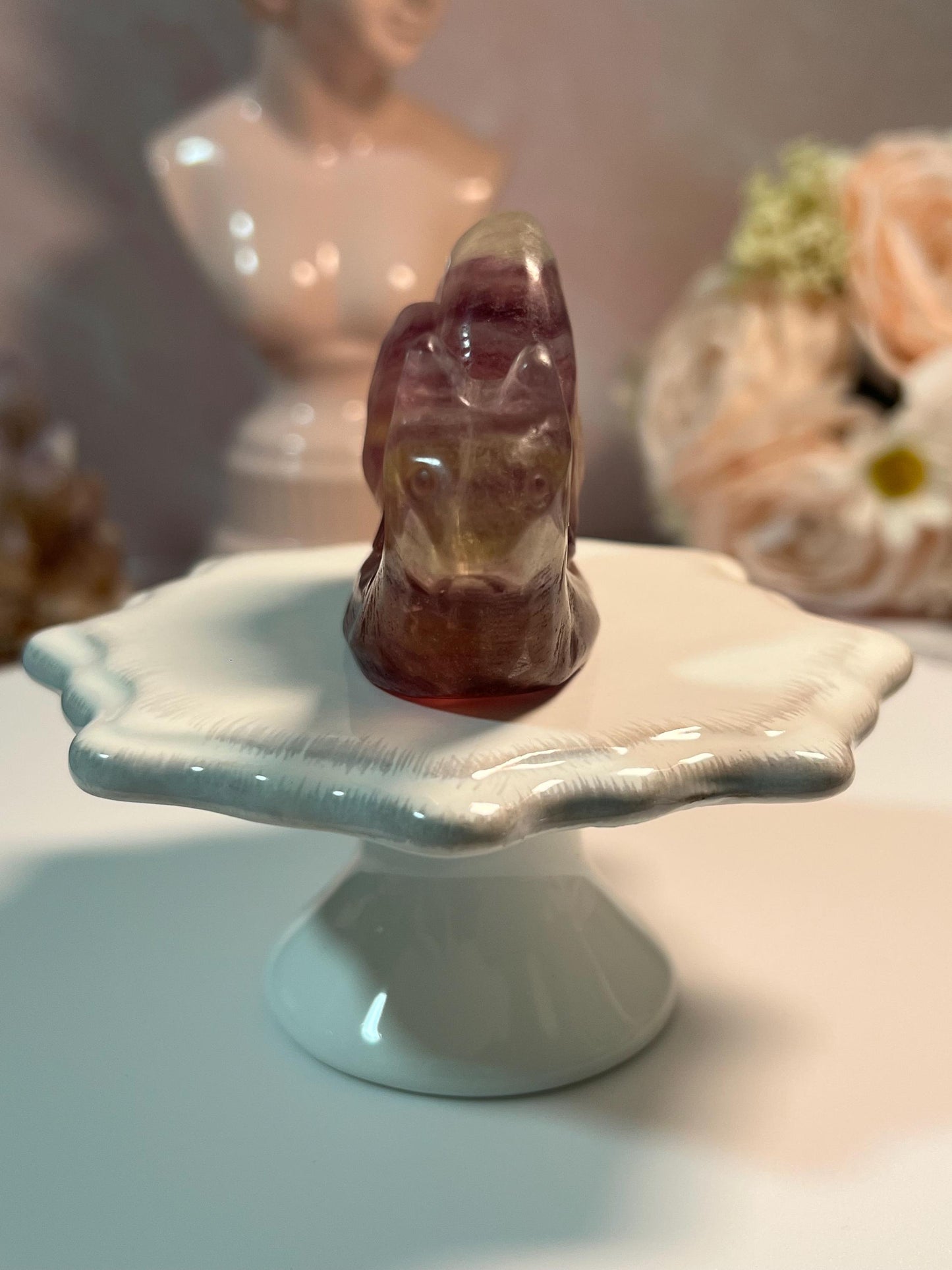 Beautiful Fluorite Snail
