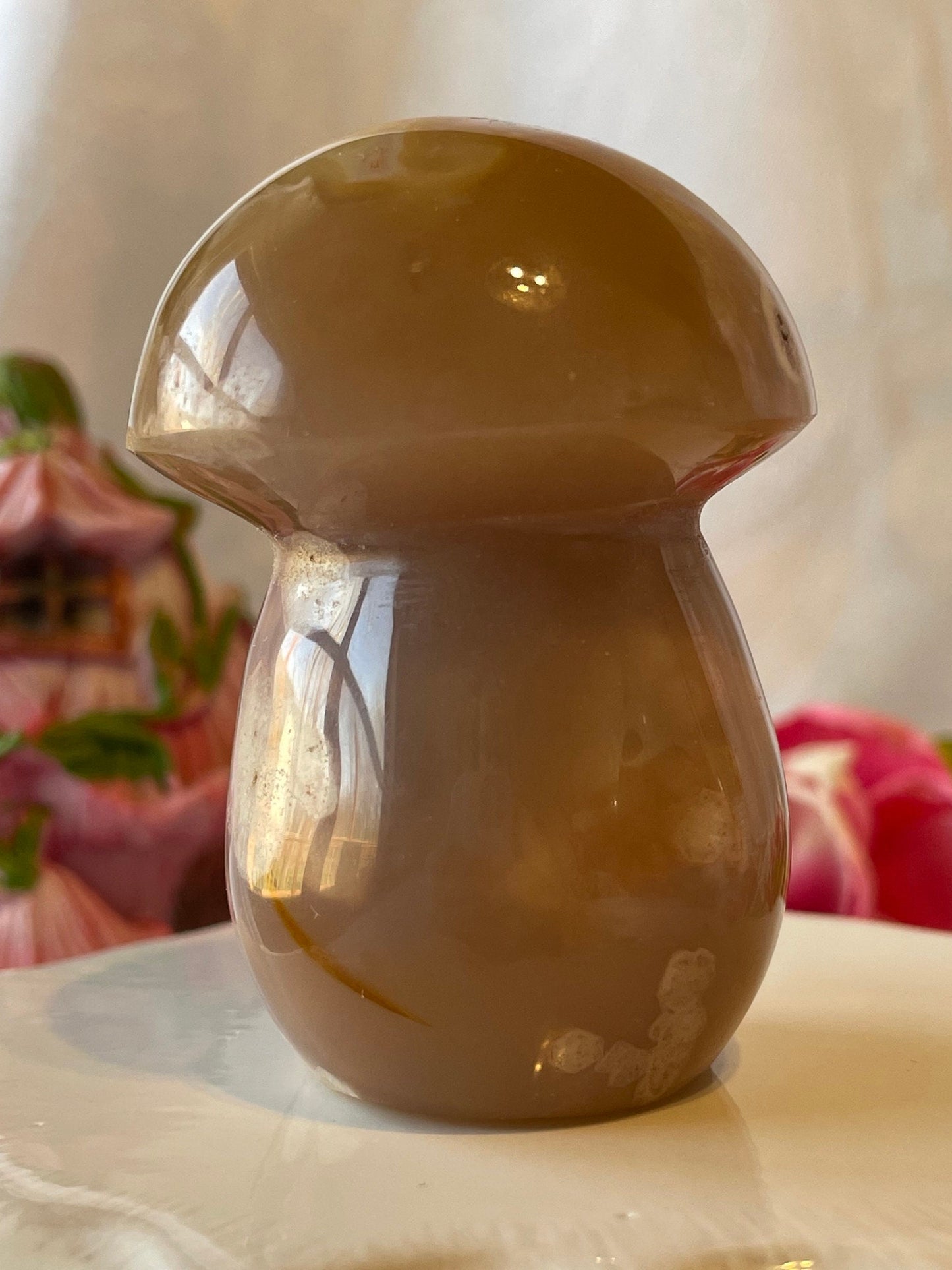 Beautiful Flower agate mushroom