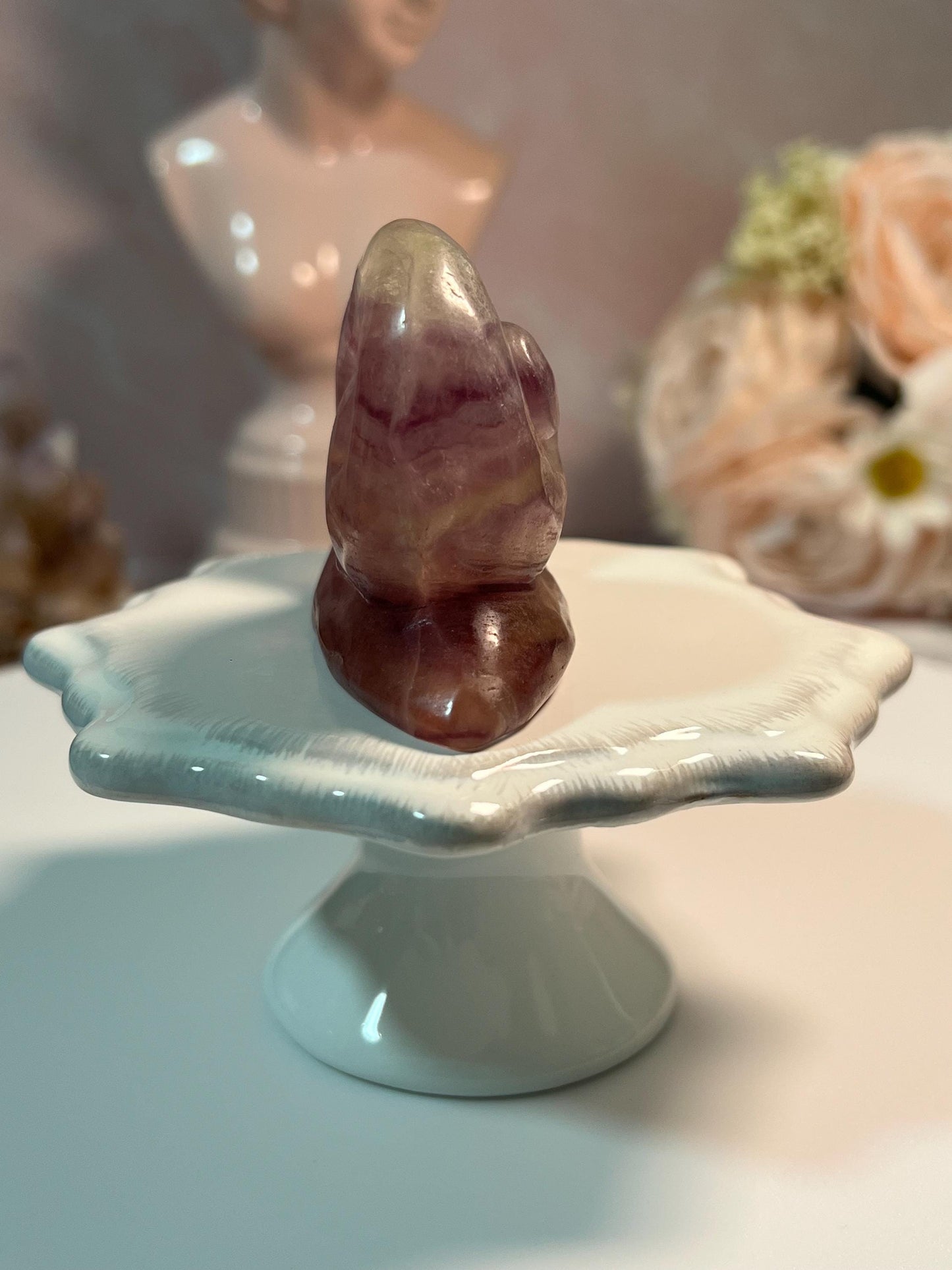 Beautiful Fluorite Snail