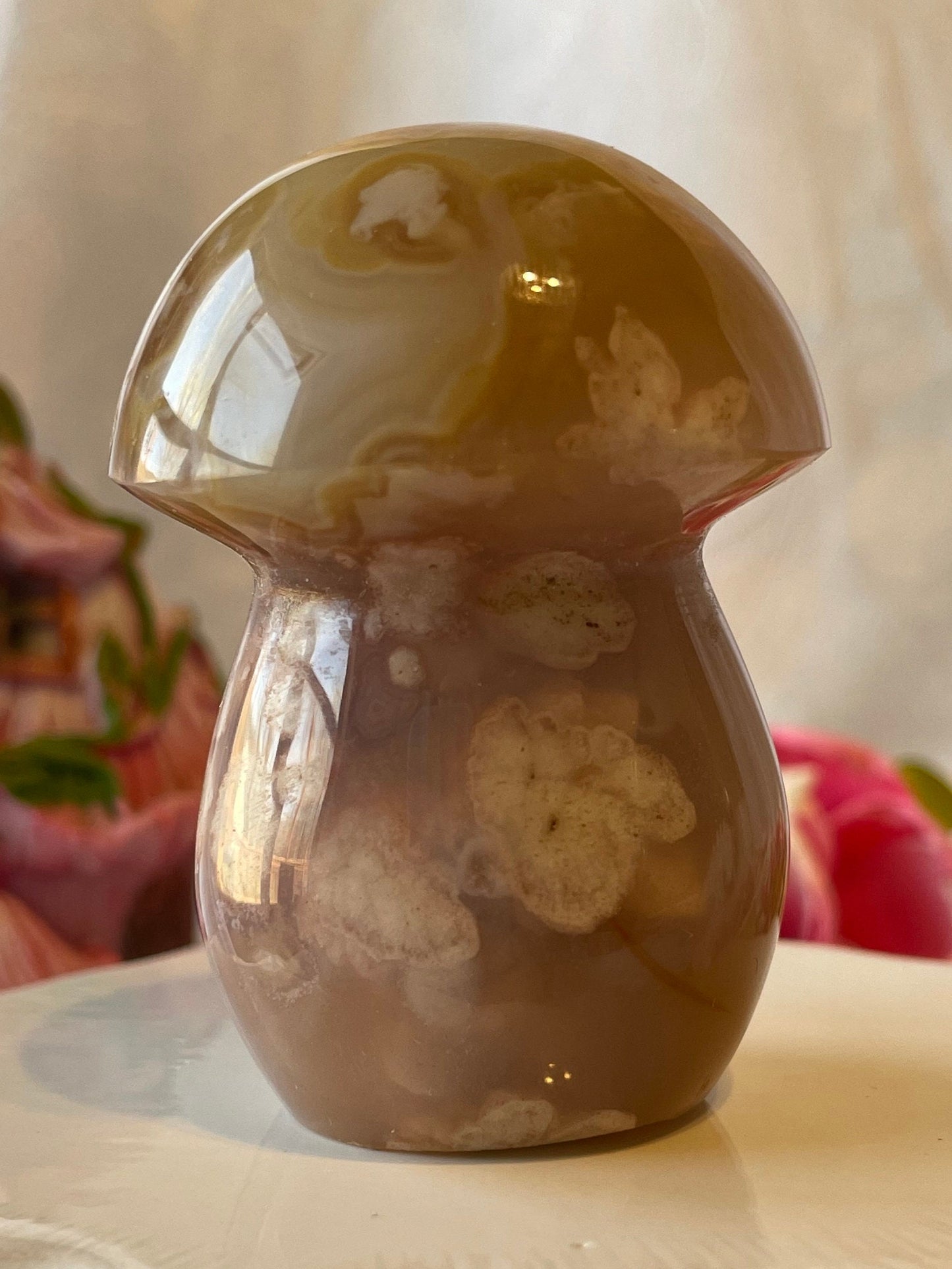 Beautiful Flower agate mushroom