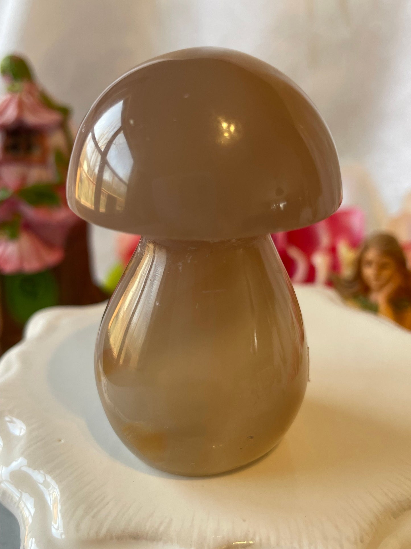 Beautiful Flower agate mushroom