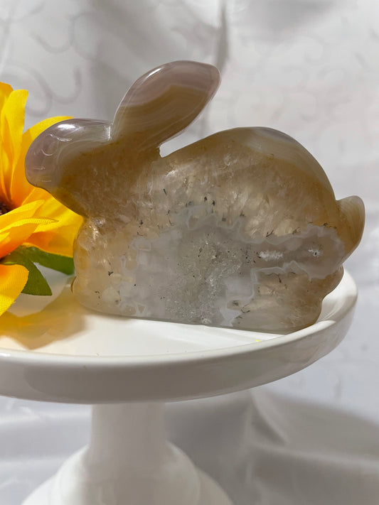 Druzy agate bunny