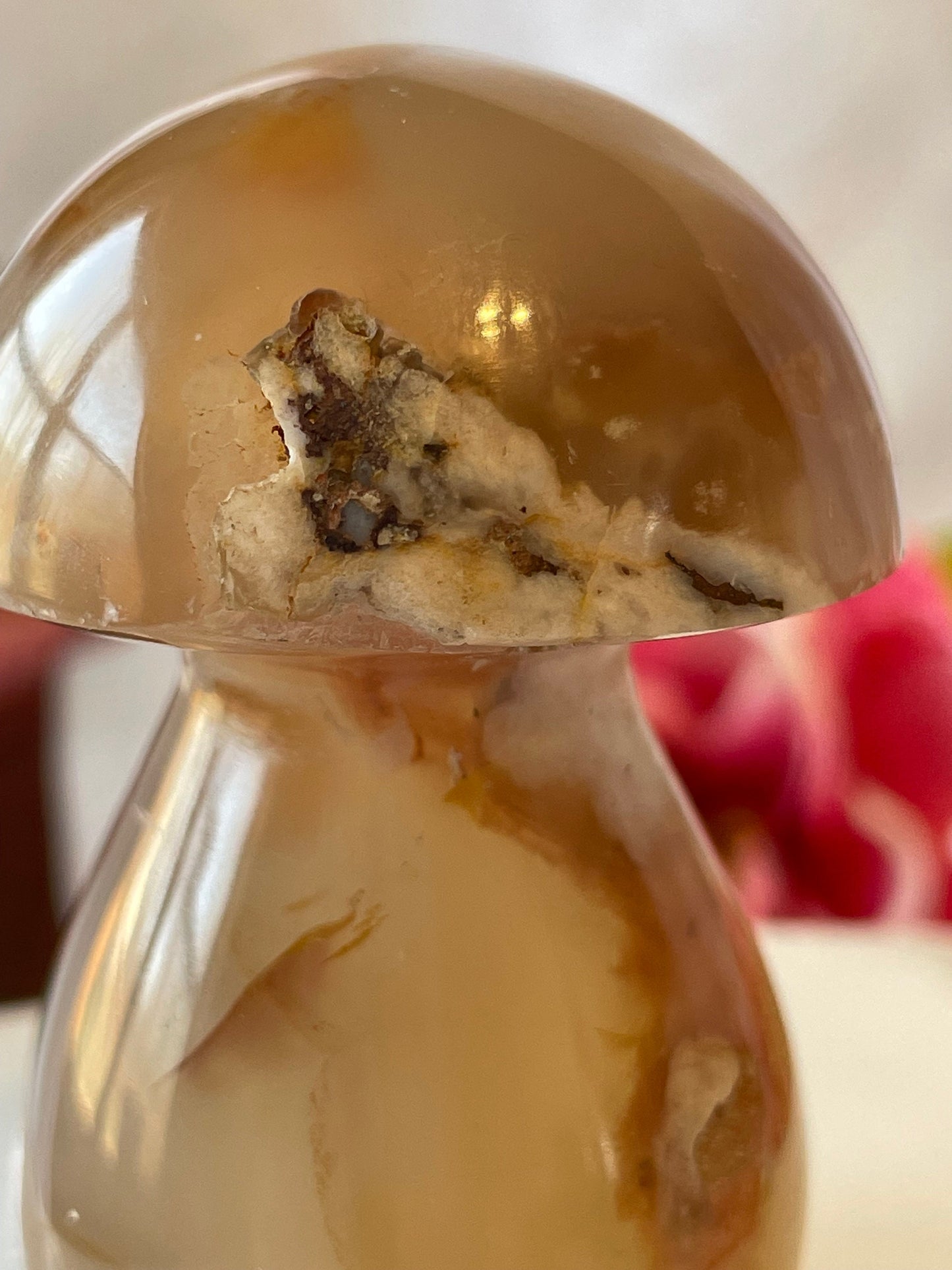 Beautiful Flower agate mushroom