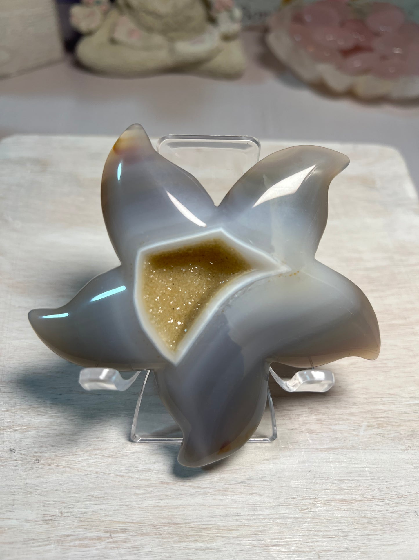 Stunning Druzy Agate Starfish