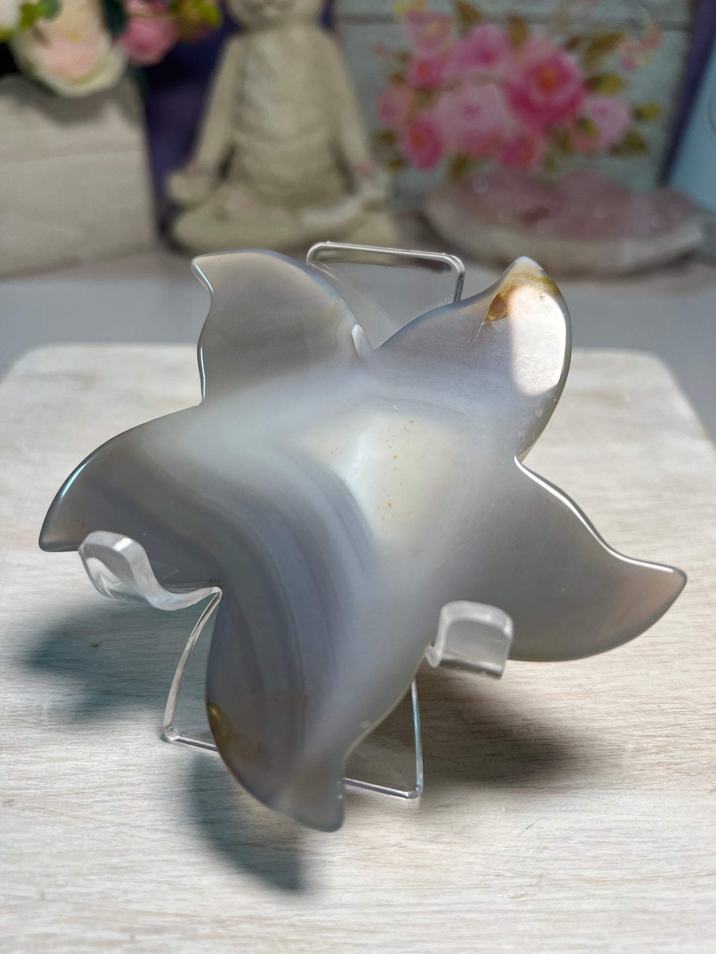 Stunning Druzy Agate Starfish