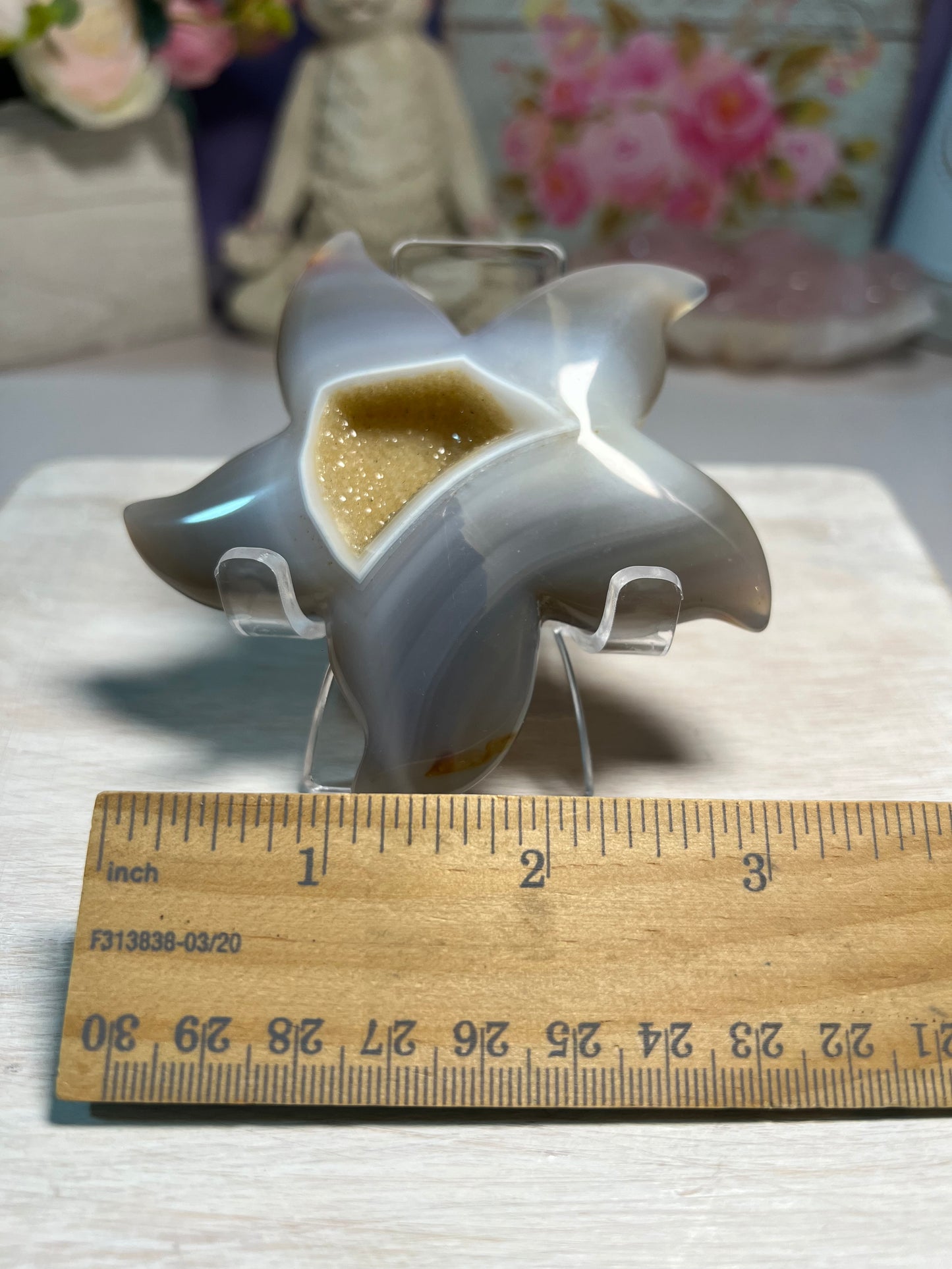 Stunning Druzy Agate Starfish