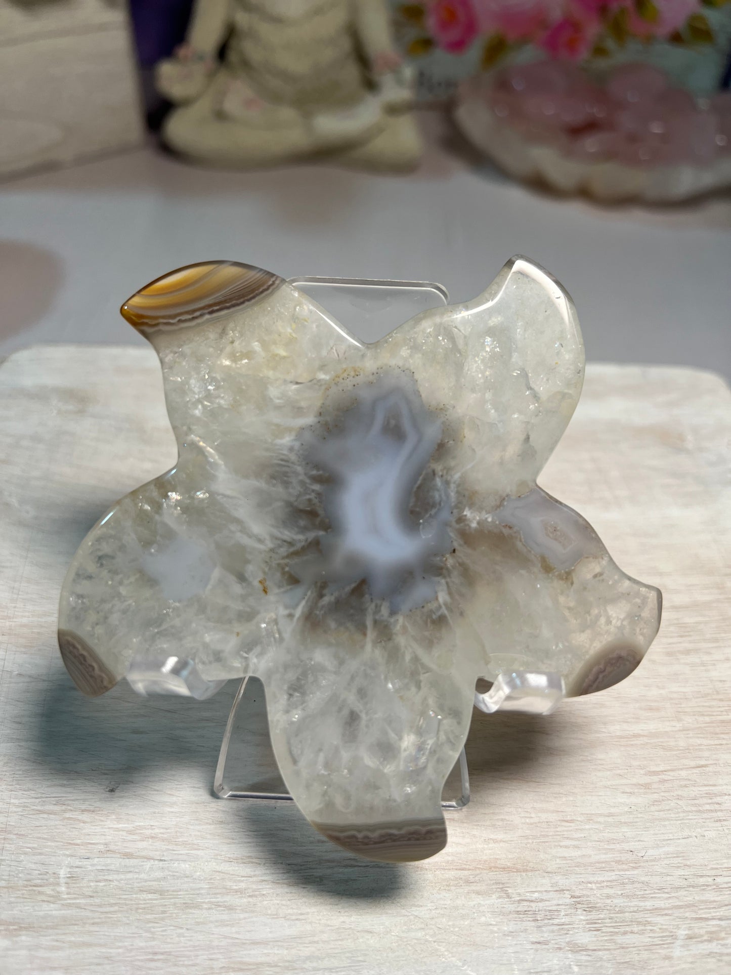 Stunning Druzy Agate Starfish