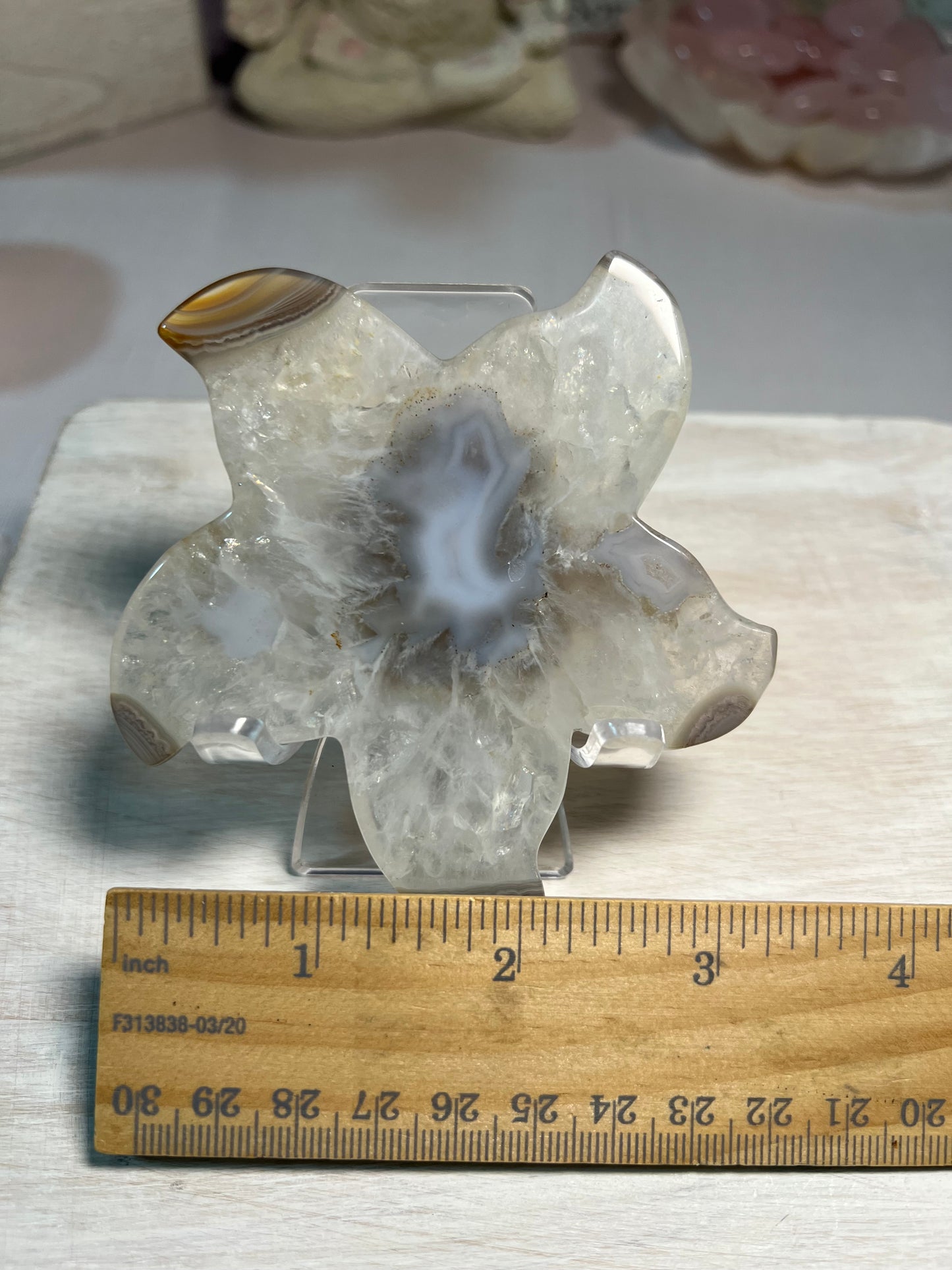 Stunning Druzy Agate Starfish