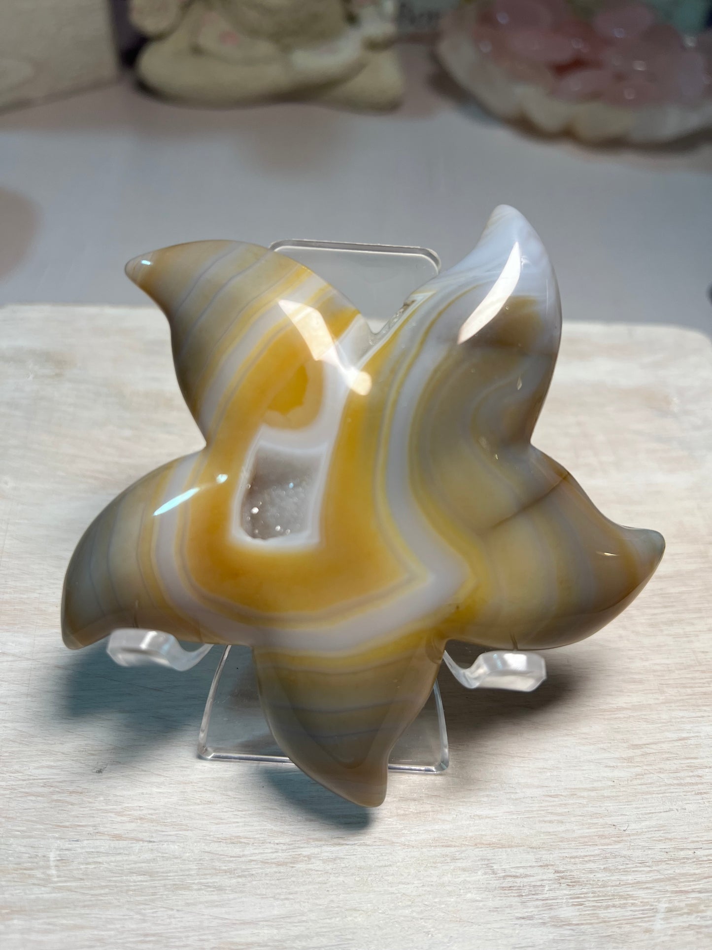 Stunning Druzy Agate Starfish