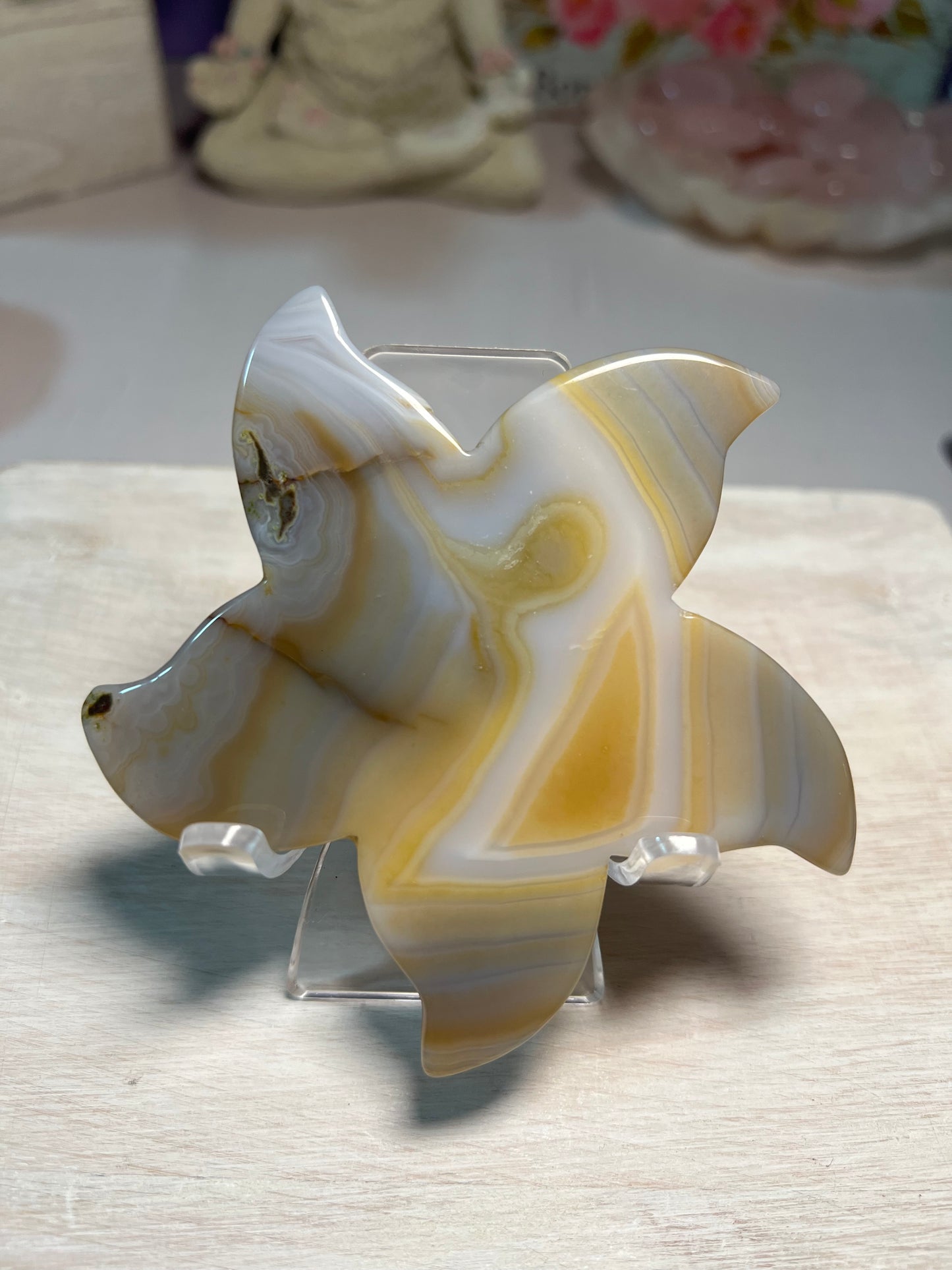 Stunning Druzy Agate Starfish