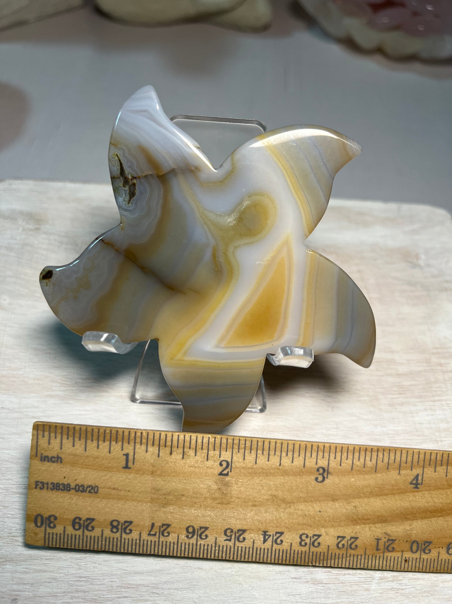 Stunning Druzy Agate Starfish