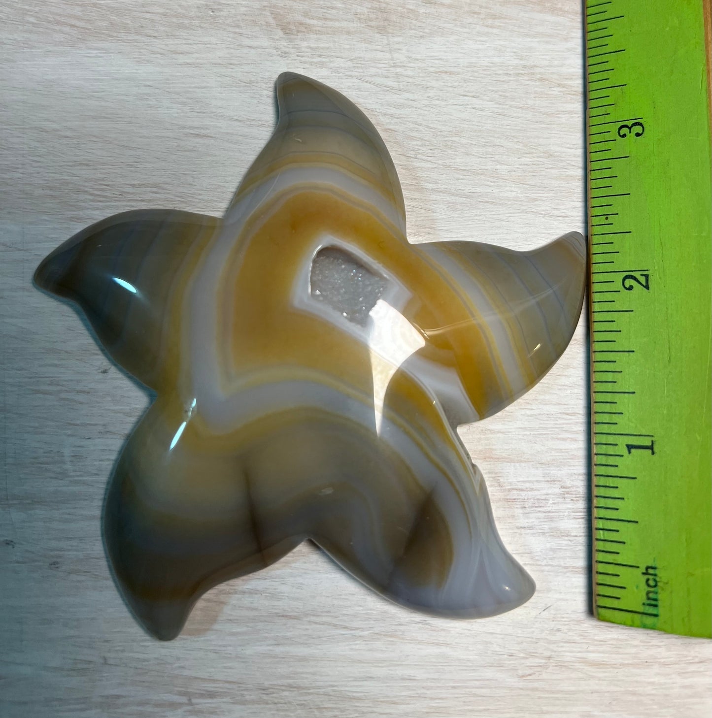 Stunning Druzy Agate Starfish