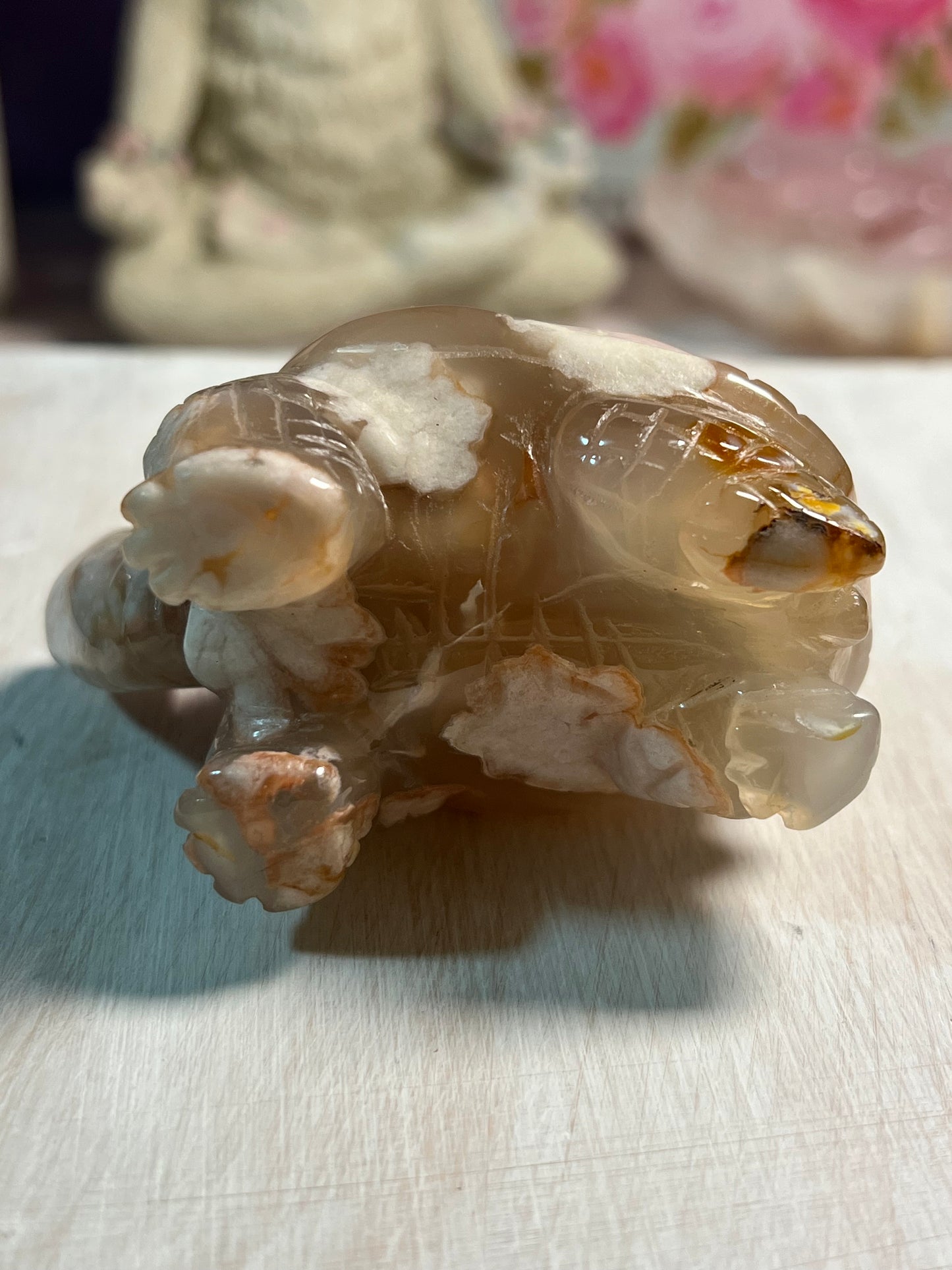 Adorable Flower Agate Turtle Carving