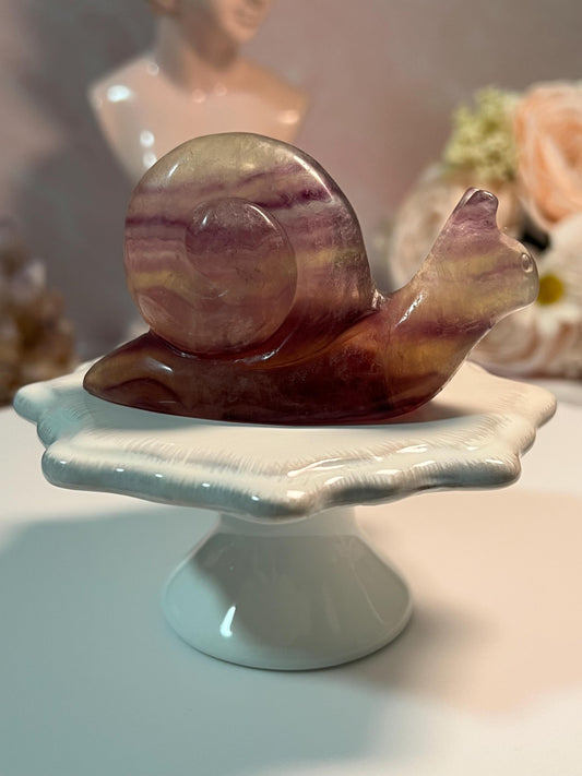 Beautiful Fluorite Snail