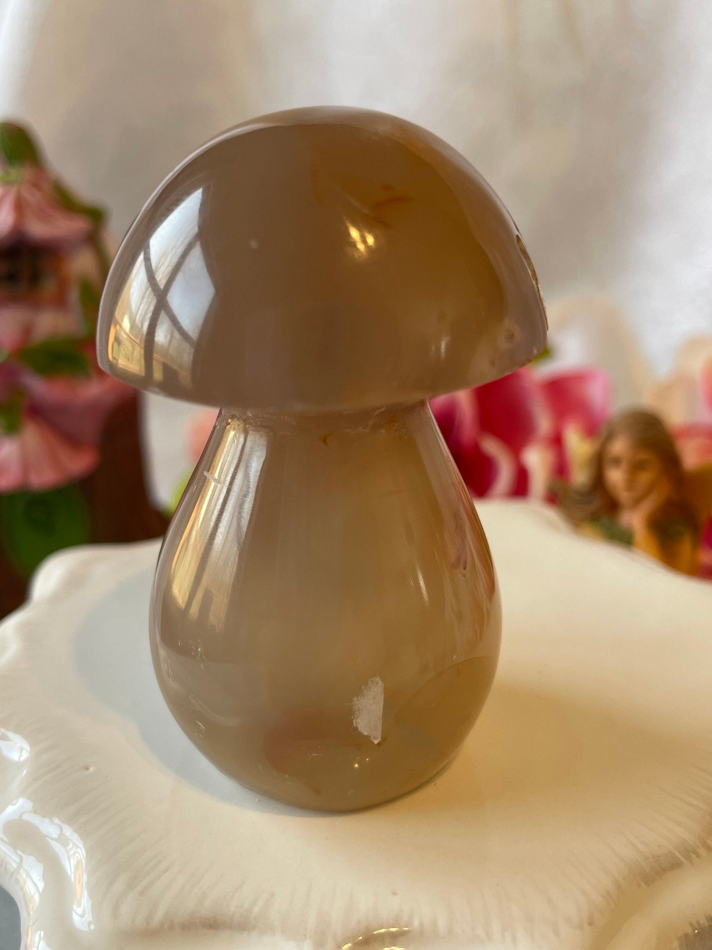 Beautiful Flower agate mushroom