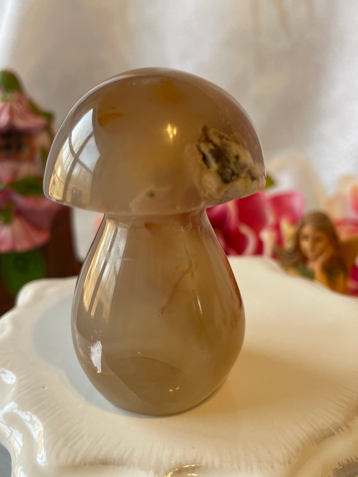 Beautiful Flower agate mushroom