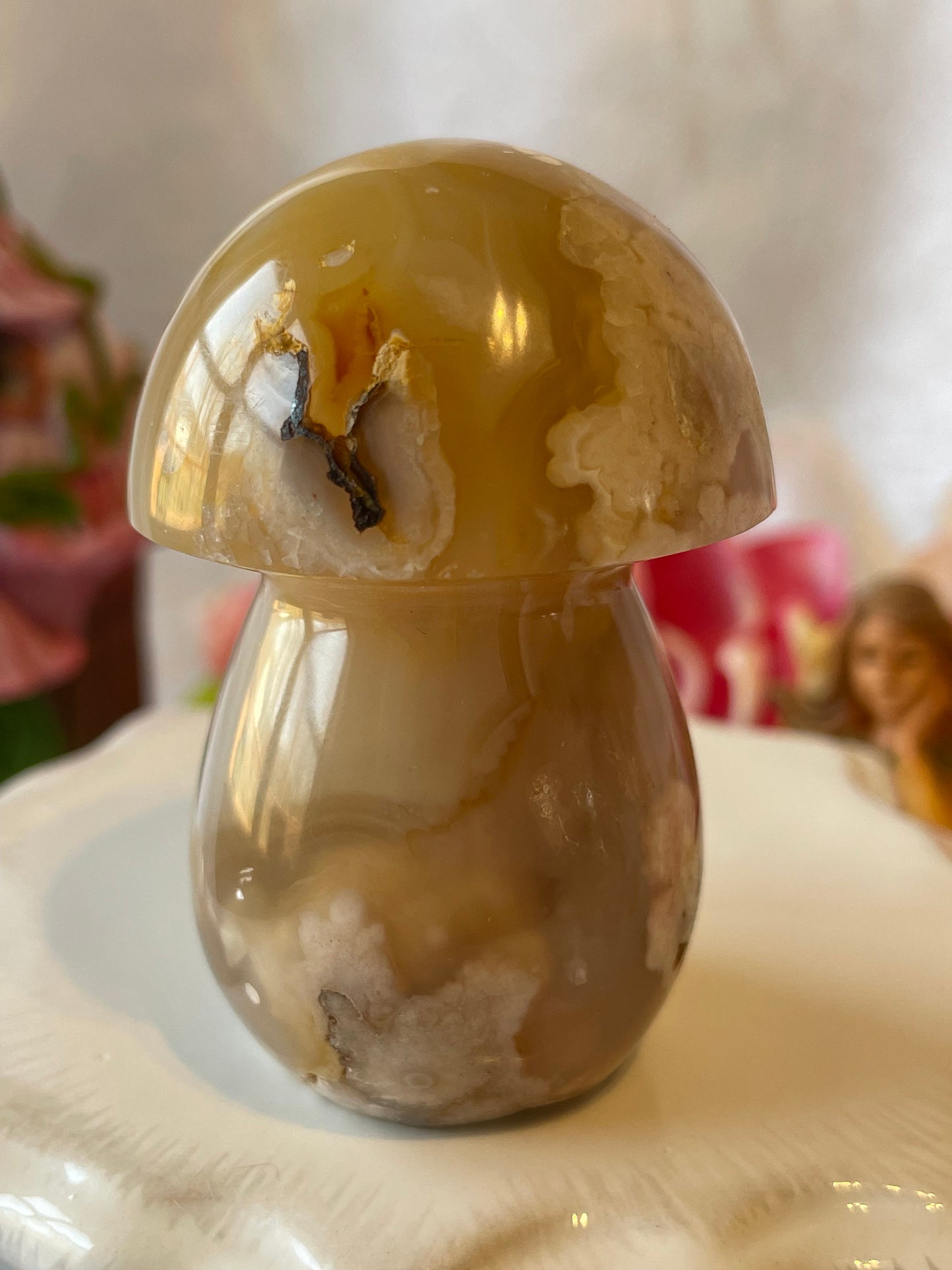 Beautiful Flower agate mushroom