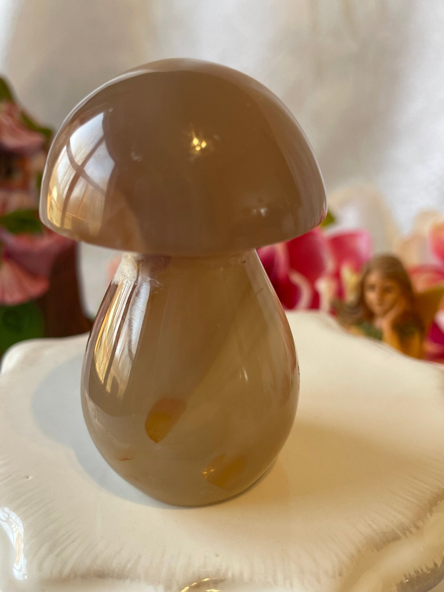 Beautiful Flower agate mushroom