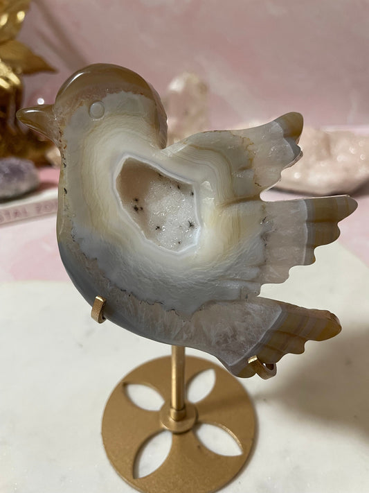 Adorable druzy agate bird